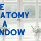 window-anatomy