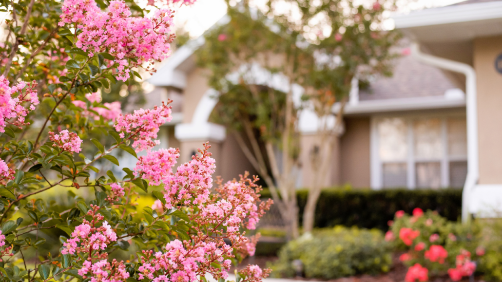 gardening-in-florida