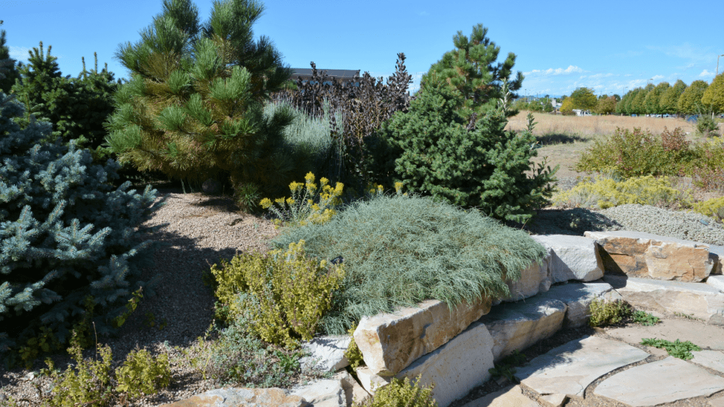 xeriscaping-landscaping