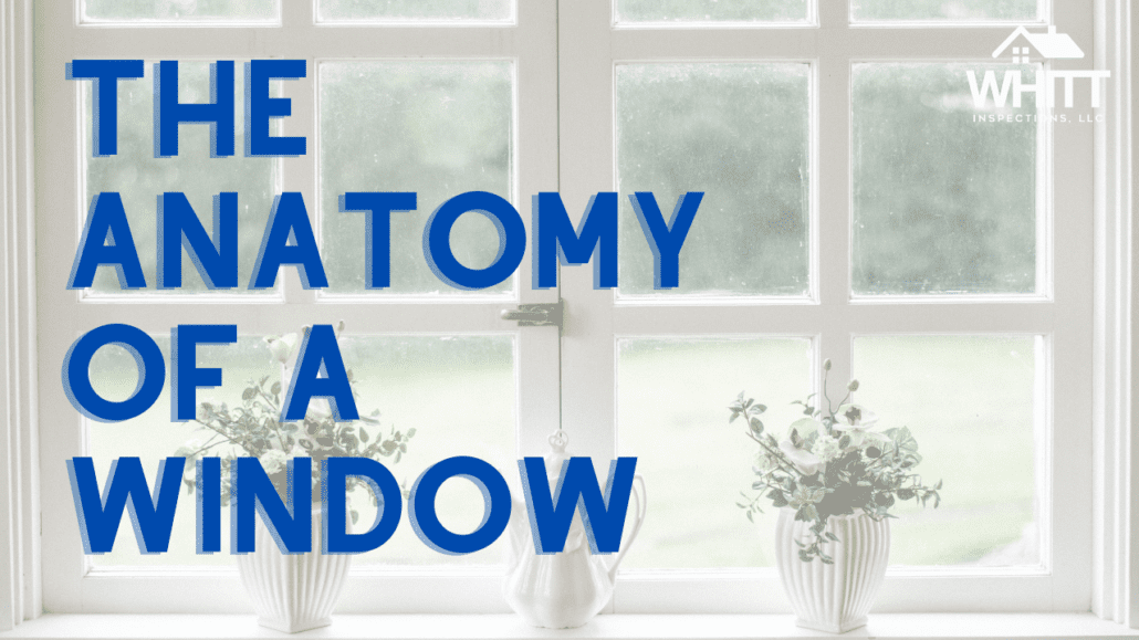 window-anatomy