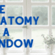 window-anatomy