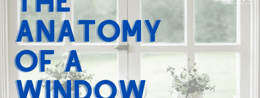 window-anatomy